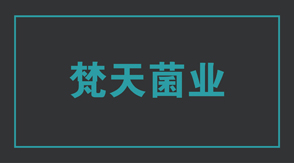 食品行業太倉工作服設計款式